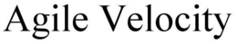 AGILE VELOCITY trademark