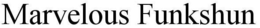 MARVELOUS FUNKSHUN trademark