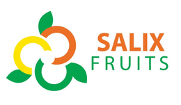 SALIX FRUITS trademark