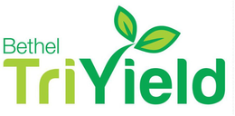 BETHEL TRIYIELD trademark