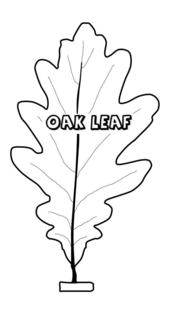 OAK LEAF trademark