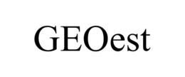 GEOEST trademark