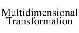 MULTIDIMENSIONAL TRANSFORMATION trademark