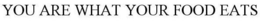 YOU ARE WHAT YOUR FOOD EATS trademark