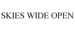 SKIES WIDE OPEN trademark