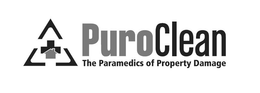 PUROCLEAN THE PARAMEDICS OF PROPERTY DAMAGE trademark