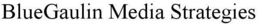 BLUEGAULIN MEDIA STRATEGIES trademark