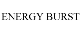 ENERGY BURST trademark