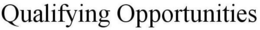 QUALIFYING OPPORTUNITIES trademark
