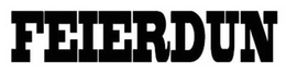 FEIERDUN trademark