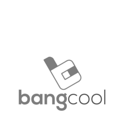 B BANGCOOL trademark