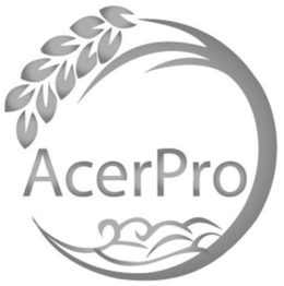 ACERPRO trademark