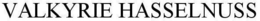 VALKYRIE HASSELNUSS trademark