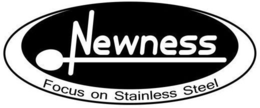NEWNESS FOCUS ON STAINLESS STEEL trademark