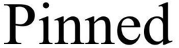 PINNED trademark