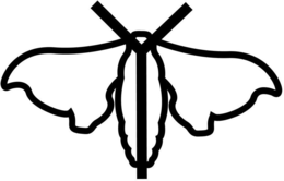 Y trademark