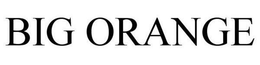 BIG ORANGE trademark
