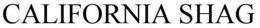 CALIFORNIA SHAG trademark