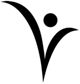 V trademark