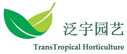 TRANSTROPICAL HORTICULTURE trademark