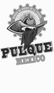 BEBIDA DE DIOSES EN LA TIERRA PULQUE MEXICO trademark