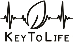 KEY TO LIFE trademark