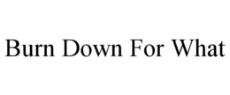 BURN DOWN FOR WHAT trademark