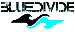 BLUEDIVIDE trademark
