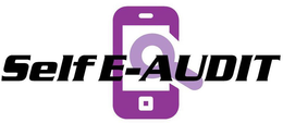 SELF E-AUDIT trademark