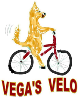 VEGA'S VELO trademark