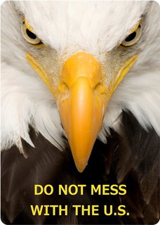 DO NOT MESS WITH THE U.S. trademark