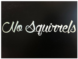 NO SQUIRRELS trademark