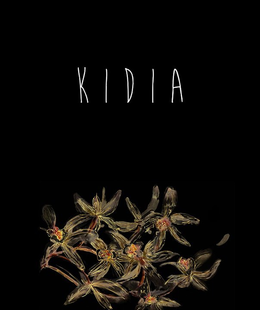 KIDIA trademark