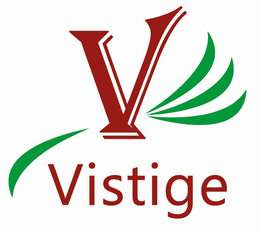 V VISTIGE trademark