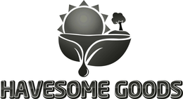 HAVESOME GOODS trademark