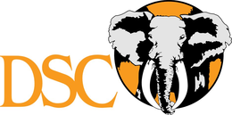DSC trademark