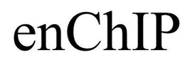 ENCHIP trademark