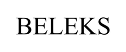 BELEKS trademark