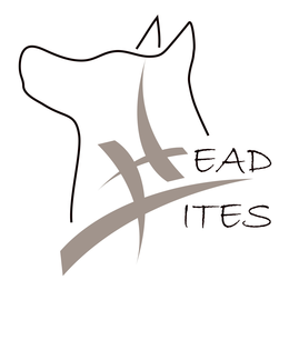 HEAD-LITES trademark
