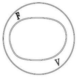 FV trademark
