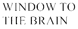 WINDOW TO THE BRAIN trademark