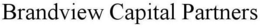 BRANDVIEW CAPITAL PARTNERS trademark