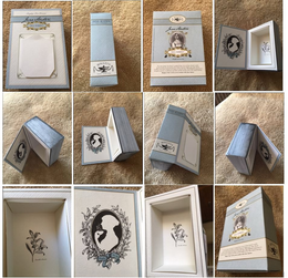 BINGLEY'S TEAS PRESENTS JANE AUSTEN TEASERIES BINGLEY'S TEAS LIMITED BINGLEYSTEAS.COM THE JANE AUSTEN TEA SERIES IS INSPIRED FROM A LOVE OF JANE AUSTEN'S WORKS. EACH TEA BEFITS THE PERSONALITY OF ITS UNIQUE CHARACTER. STEEP A POT. POUR. SAVOR. A MILLION TASTE BUDS TRANSPORT YOU DEEPER YET INTO THE STORY. THIS DELIGHTFUL EXPERIENCE IS BROUGHT TO YOU BY A CERTIFIED TEA SPECIALIST. BINGLEY'S TEAS INVITES YOU TO TEATIME WITH JANE AUSTEN. CAMELLIA SINENSIS trademark