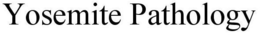 YOSEMITE PATHOLOGY trademark