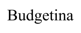 BUDGETINA trademark
