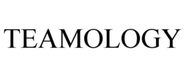 TEAMOLOGY trademark