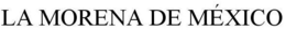 LA MORENA DE MÉXICO trademark