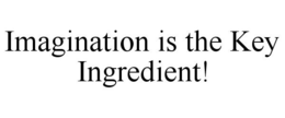 IMAGINATION IS THE KEY INGREDIENT! trademark