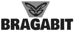 BRAGABIT trademark