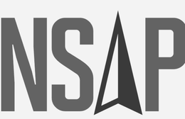 NSAP trademark